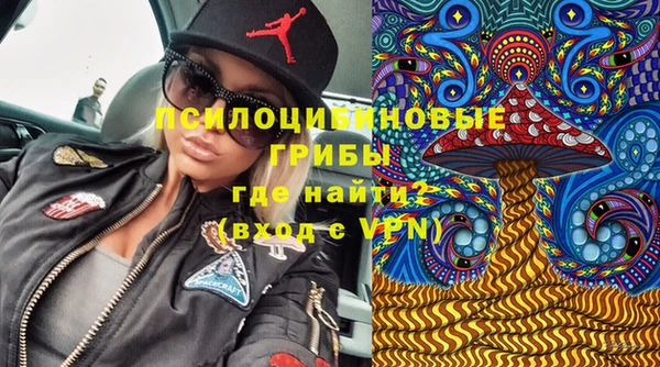 гидра Кулебаки