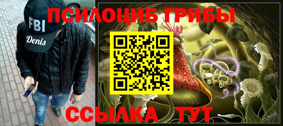 Галлюциногенные грибы Psilocybe Урус-Мартан