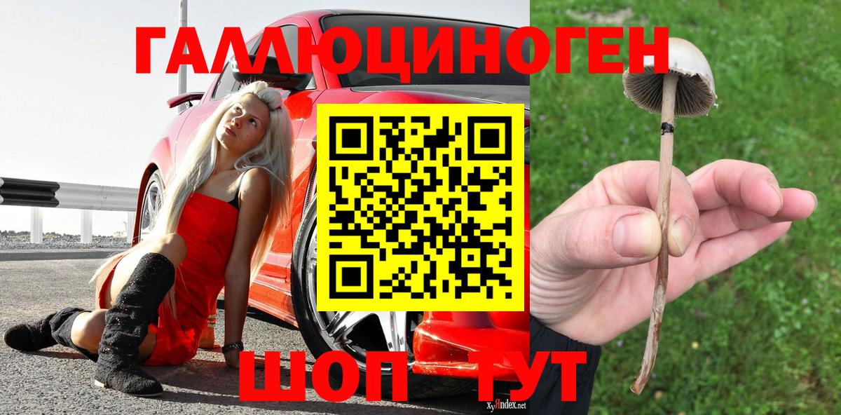 Галлюциногенные грибы ЛСД Урус-Мартан