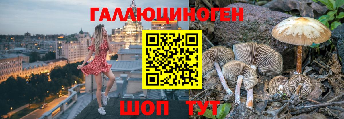 Галлюциногенные грибы MAGIC MUSHROOMS  Псилоцибиновые грибы Magic Shrooms  Урус-Мартан  где продают   Вход с VPN 